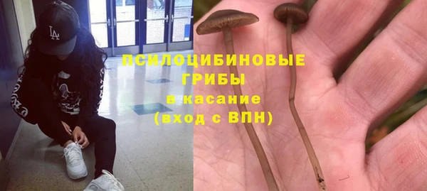 ГАЛЛЮЦИНОГЕННЫЕ ГРИБЫ Богородицк