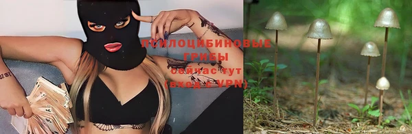 mdpv Богданович