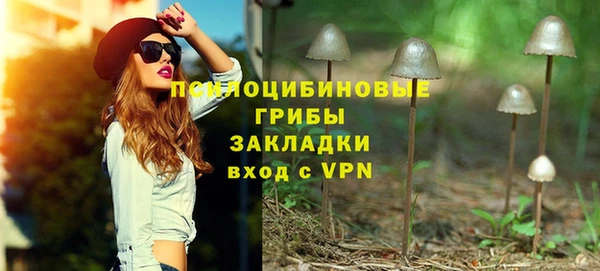ГАЛЛЮЦИНОГЕННЫЕ ГРИБЫ Богородицк