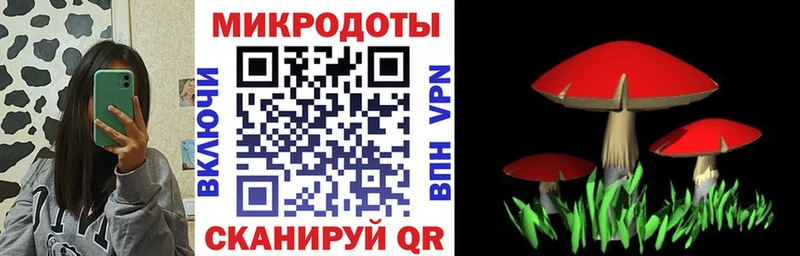 Галлюциногенные грибы Psilocybe  Кирс 